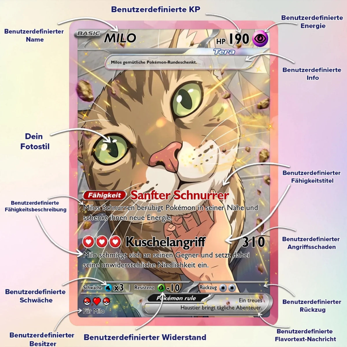 Cards