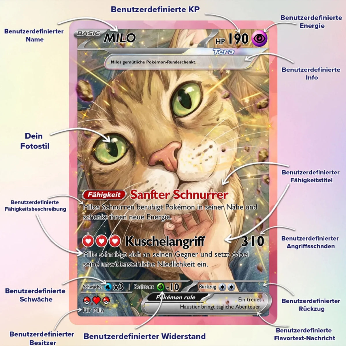 Cards
