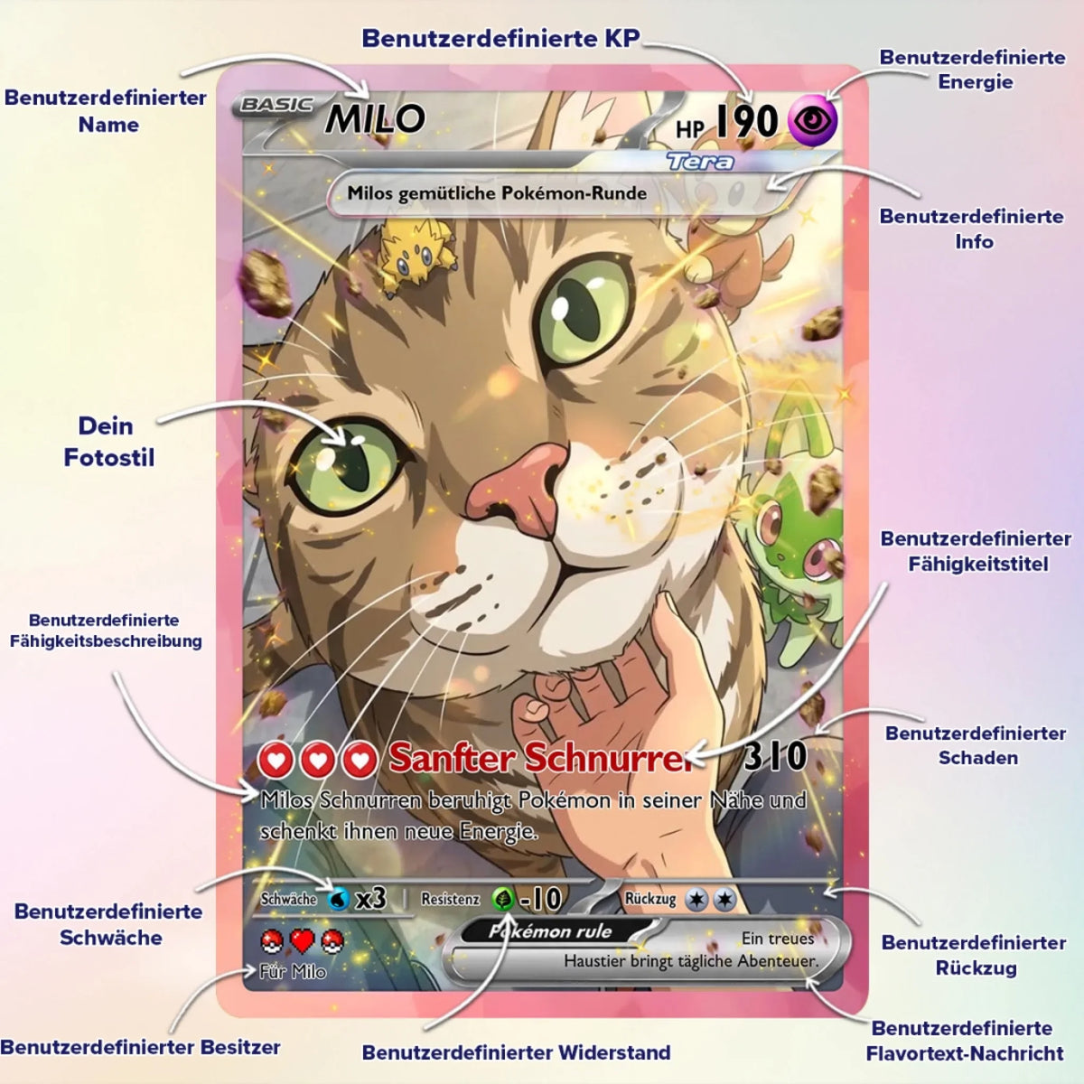 Cards