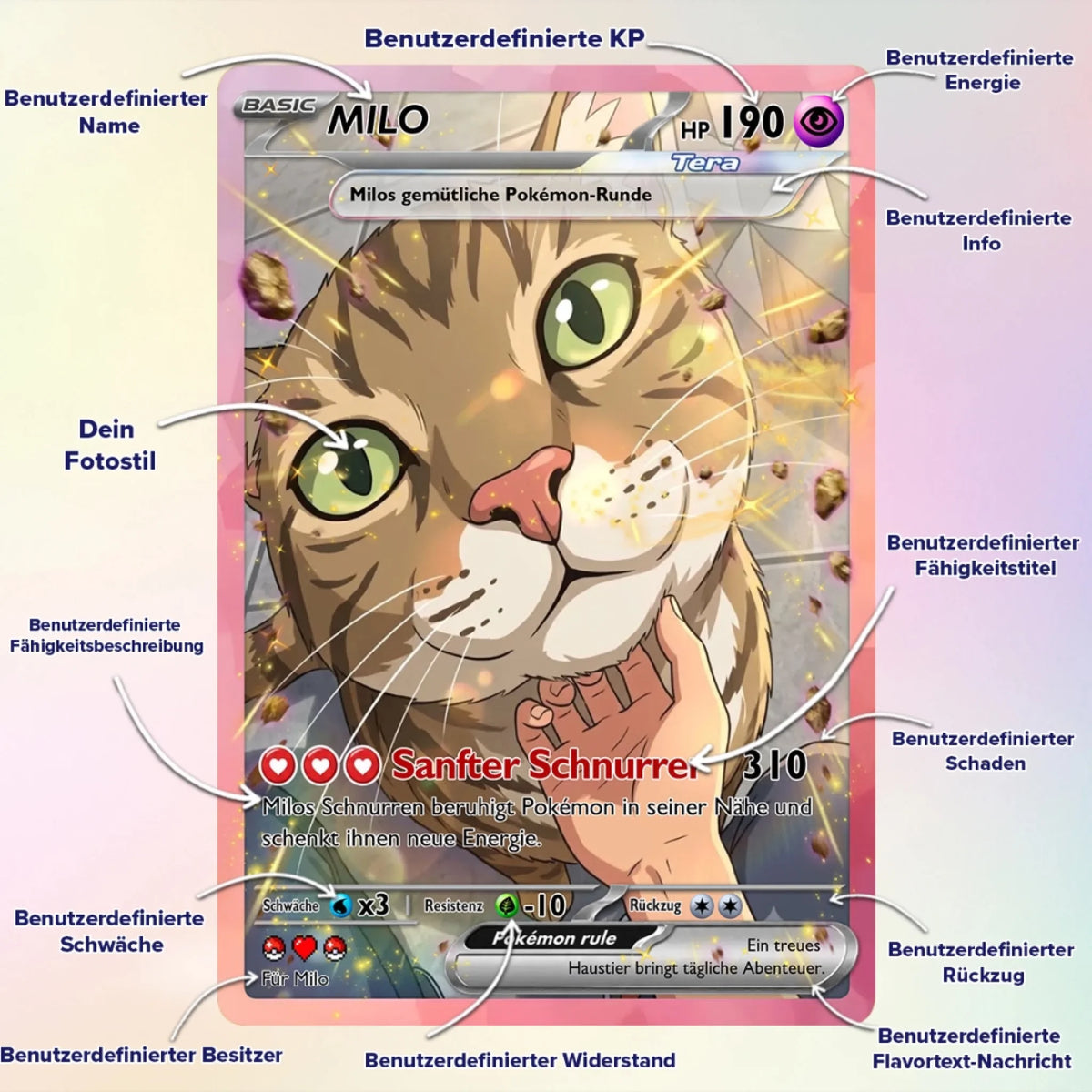 Cards